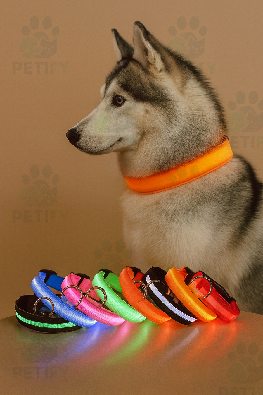 NightGuard Collar