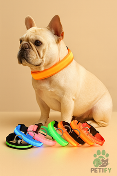 NightGuard Collar
